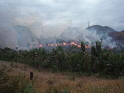 Burning Malagasy rainforest
