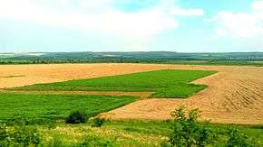 A field in a plain