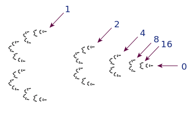 The  2-adic integers. Showing all of the 2-adic rationals would include an infinite sequence of clumps moving to the left of the figure.