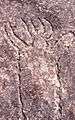 Aboriginal rock carvings, Terrey Hills, New South Wales, Sydney - Wiki0159.jpg