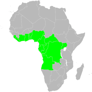 Native distribution of the Safou