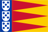 Blue vertical banner on the left with 3 vertically stacked white shields with 5 blue points each. Alternating red and yellow triangles on the rest of the flag.