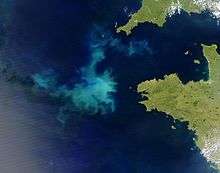 The lighter coloring of irregular patches in the Atlantic Ocean off France shows where algae are blooming.