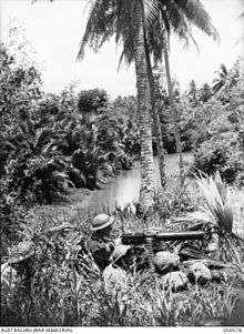 Troops manning a Vickers machine gun on a ridge overlooking a creek amidst a jungle setting