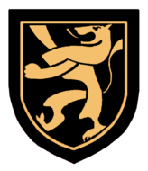 Team emblem: a gold lion on a black shield background