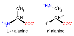 Comparison of the structures of alanine and beta alanine. In alanine, the side-chain is a methyl group; in beta alanine, the side-chain contains a methylene group connected to an amino group, and the alpha carbon lacks an amino group. The two amino acids, therefore, have the same formulae but different structures.