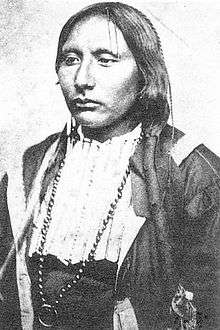 A black and white photograph of Addoeette, also known as Big Tree, facing oblique to the camera with left shoulder slightly forward. He is a Native American from the Kiowa tribe, wearing an officer's dress uniform jacket with wicker front peace and a long beaded chain with a circular ring. His hair is braided down his left shoulder and tied with ribbon and wood decoration. Picture undated but appears circa 1880.