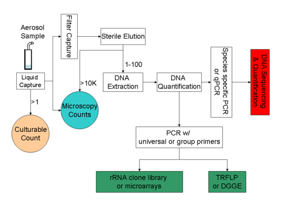 Pathways to PCR-based bioaerosol analysis.