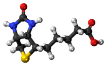 Ball-and-stick model of the Biotin molecule