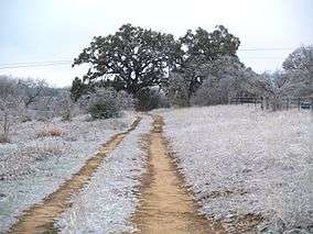 A photo of Blanco State Park with ice covering everything