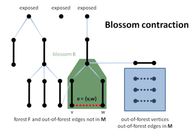 Blossom contraction on line B21