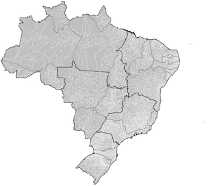 "Map of Brazil divided into subvisions"