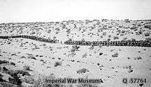 Line of soldiers marching across a desert