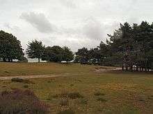 the tent camping site, a meadow with trees in the background and a path running diagonally from the lower left to the upper right