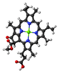 Chlorophyll c1 molecule