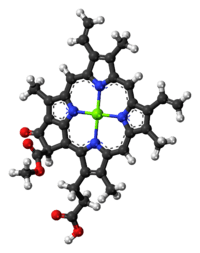 Chlorophyll c2 molecule