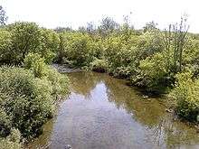 A color photograph of the Clinton River in Macomb County, Michigan