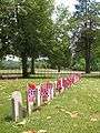 Confederate cemetery tombstones.jpg