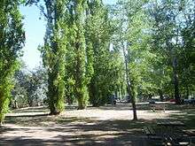 Picnic area with trees, picnic tables and children's play equipment.