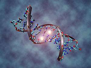 DNA methylation illustration