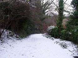 A snowy footpath through a wooded area in Dawsholm Park.