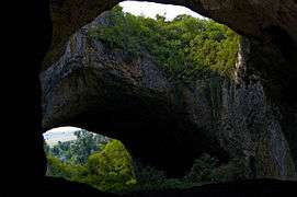 Stone arch with foliage, seen from cave entrance