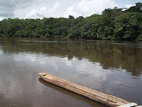 A long but narrow boat floats on a wide river, with a dense forest bordering the side.
