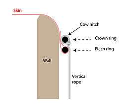 Schematic of two-ring skin mounting