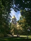 Notre Dame Golden Dome through the trees