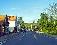 A road heading through a town. A mountain is visible in the distance. On the left side of the road is a series of houses, while numerous trees line the right side. Many wooden utility poles are present.