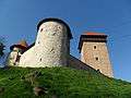 Dubovac Castle in Karlovac4, Croatia.JPG