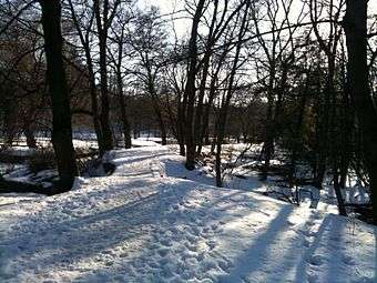 Dufferin walking trail winter.jpg