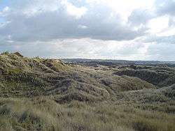 A grass-covered dune complex in North Devon.