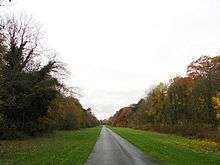 An empty drive runs into the distance, with lawns and banks of trees on each side