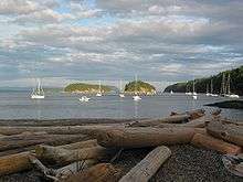 Sail boats anchored off a beach covered with driftwood