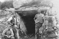 Miners at Fairleys Creek, Buckland Valley.
