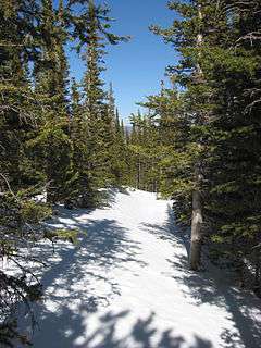 Flattop Mountain Trail