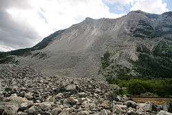 Side view of a mountain scarred by a large debris field down its side. A field of rock lies at its base.