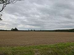 Large modern field, bare-soiled under a heavily clouded sky. It is September of a dry year, and the harvest has been in for over a month and the land prepared for next year.  It looks bare and harrowed to a very smooth surface. Distant woodland frames the field.