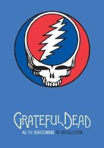 Grateful Dead lightning bolt skull logo, on a dark blue background