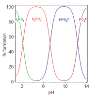 Acids with more than one ionizable hydrogen atoms are called polyprotic acids, and have multiple deprotonation states, also called species. This image plots the relative percentages of the different protonation species of phosphoric acid H 3 P O 4 as a function of solution p H. Phosphoric acid has three ionizable hydrogen atoms whose p K A's are roughly 2, 7 and 12. Below p H 2, the triply protonated species H 3 P O 4 predominates; the double protonated species H 2 P O 4 minus predominates near p H 5; the singly protonated species H P O 4 2 minus predominates near p H 9 and the unprotonated species P O 4 3 minus predominates above p H 12