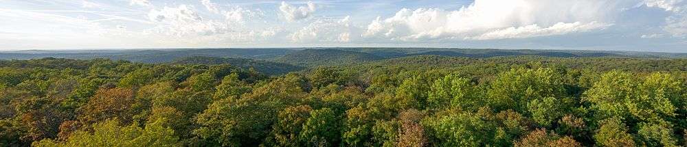 Harrison–Crawford State Forest viewed from the firetower at O'Bannon Woods State Park