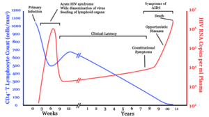 A graph with two lines. One in blue moves from high on the right to low on the left with a brief rise in the middle. The second line in red moves from zero to very high then drops to low and gradually rises to high again