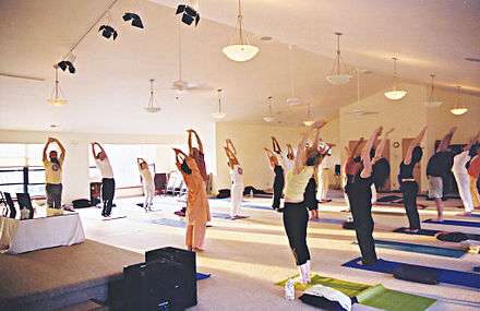 An Integral Yoga Hatha course