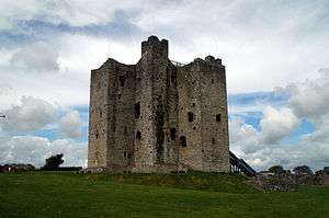 Trim Castle, home to Geoffrey de Geneville