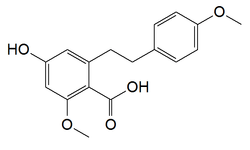 Chemical structure of isonotholaenic acid