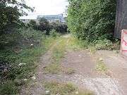 An overgrown ramp slopes down to a grass area with a railway track & signal. The ramp has 2 gravel tracks where a vehicle has been. In the distance is a modern office tower.