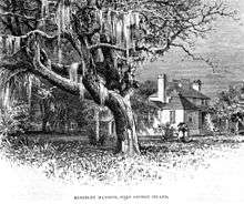 Drawing from the 1870s of the Kingsley house, a large oak tree, and a pair of ladies strolling under a parasol