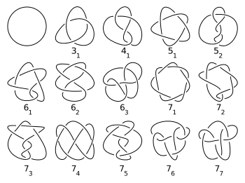 A collection of knot diagrams in the plane.