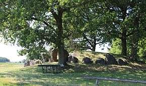 Photo of Kong Svends Høj burial mound